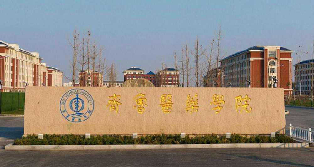 山东造型黑松供应